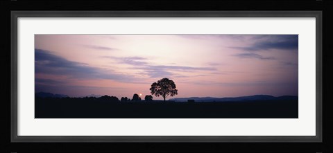 Framed Night Schwangau Germany Print