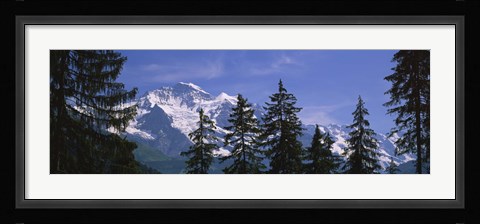 Framed Mountains covered with snow, Swiss Alps, Wengen, Bernese Oberland, Switzerland Print
