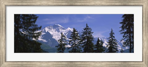 Framed Mountains covered with snow, Swiss Alps, Wengen, Bernese Oberland, Switzerland Print