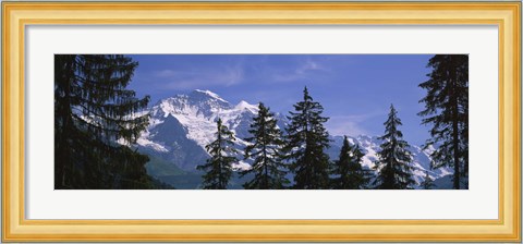 Framed Mountains covered with snow, Swiss Alps, Wengen, Bernese Oberland, Switzerland Print