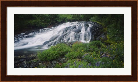 Framed Waterfall in the forest, Mt Rainier National Park, Washington State, USA Print