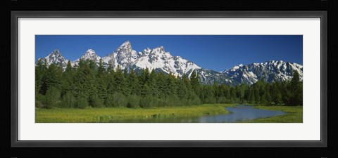 Framed Trees along a river, Near Schwabachers Landing, Grand Teton National Park, Wyoming Print