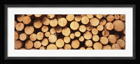 Framed Marked Wood In A Timber Industry, Black Forest, Germany Print