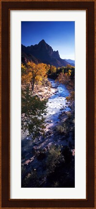 Framed High angle view of a river flowing through a forest, Virgin River, Zion National Park, Utah, USA Print