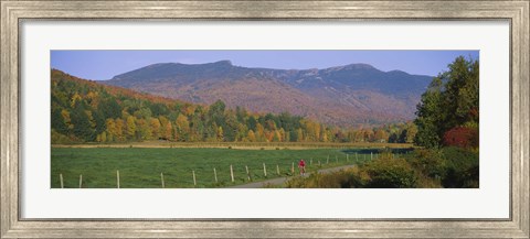 Framed Woman cycling on a road, Stowe, Vermont, USA Print