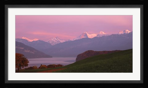 Framed Switzerland, Bernese Alps, Lake Thun Print