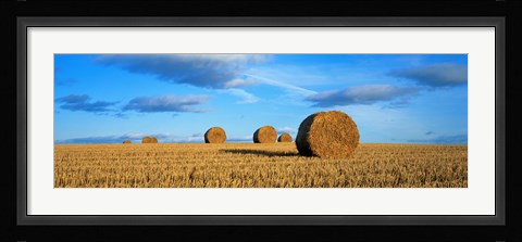 Framed Hay Bales, Scotland, United Kingdom Print