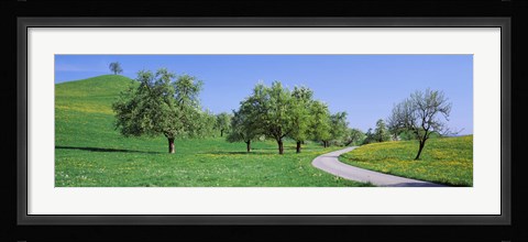Framed Road Cantone Zug Switzerland Print