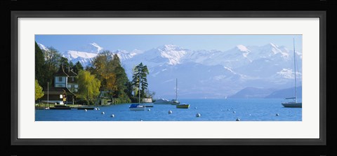 Framed Lake on the mountainside, Lake Thun, Hilterfingen, Canton of Bern, Switzerland Print