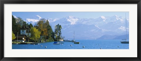 Framed Lake on the mountainside, Lake Thun, Hilterfingen, Canton of Bern, Switzerland Print