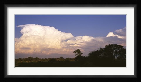 Framed Clouds over a forest, Moremi Game Reserve, Botswana Print