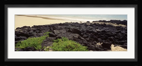 Framed Lava rocks at a coast, Floreana Island, Galapagos Islands, Ecuador Print
