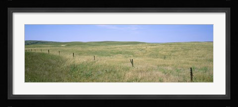 Framed Grass on a field, Cherry County, Nebraska, USA Print
