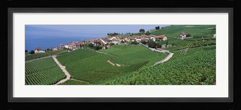 Framed Vineyards overlooking Lake Geneva, Switzerland Print