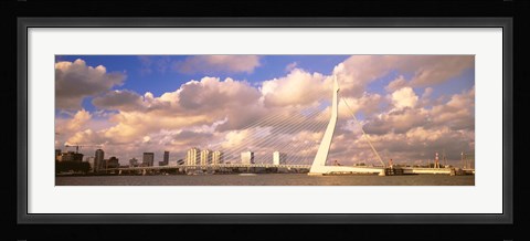 Framed Netherlands, Holland, Rotterdam, Erasmus Bridge Print