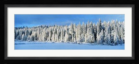 Framed Winter Wawona Meadow Yosemite National Park CA USA Print