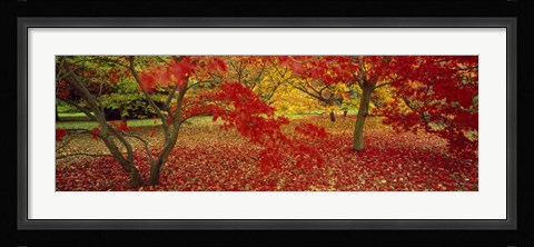 Framed Westonburt Gloucestershire England Print