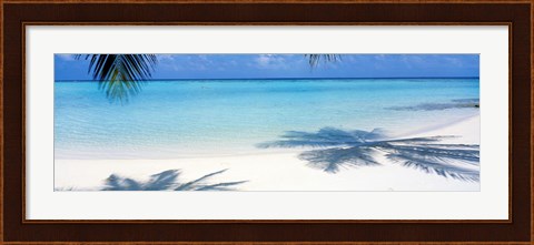 Framed Palm shadows, Laguna Maldives Print