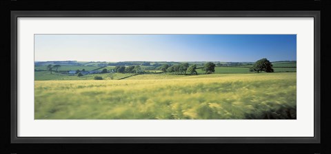 Framed Field Near Barnstaple, North Devon, England, United Kingdom Print