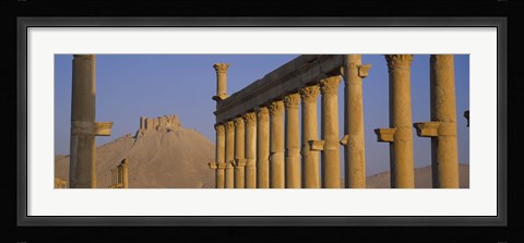 Framed Low angle view of Great Colonnade, Palmyra, Syria Print