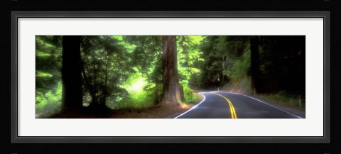 Framed Road, Redwoods, Mendocino County, California, USA Print