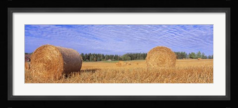 Framed Straw Rolls, Sweden Print