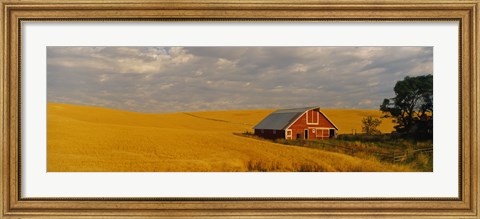 Framed Barn in a wheat field, Palouse, Washington State, USA Print