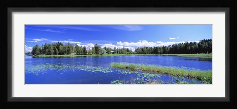 Framed Lakelands, Finland Print