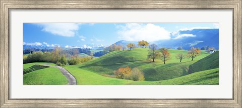 Framed Rolling Landscape, Zug, Switzerland Print