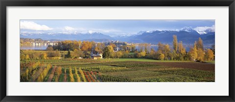 Framed Farm, Rapperswil, Zurich, Switzerland Print
