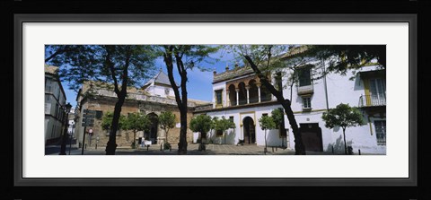 Framed Trees in front of buildings, Convento San Leandro, Plaza Pilatos, Seville, Spain Print