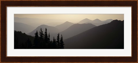 Framed Mount Rainier National Park WA USA Print