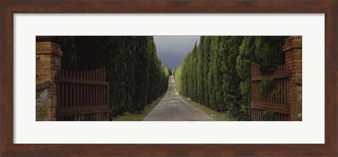 Framed Road, Tuscany, Italy, Print