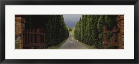 Framed Road, Tuscany, Italy, Print