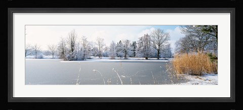 Framed Snow covered trees near a lake, Lake Schubelweiher Kusnacht, Zurich, Switzerland Print
