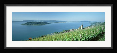 Framed Vineyard near a village, Lake Biel, Ligerz, Canton of Bern, Switzerland Print