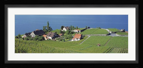 Framed Aerial View Of Vineyards By A Lake, Lake Geneva, Vaud, Switzerland Print