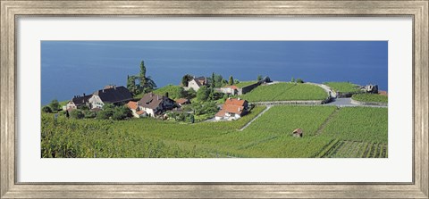 Framed Aerial View Of Vineyards By A Lake, Lake Geneva, Vaud, Switzerland Print
