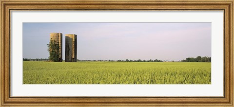 Framed USA, Arkansas, View of grain silos in a field Print