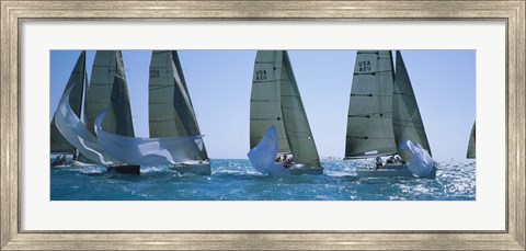 Framed Sailboats, Key West, Florida Print