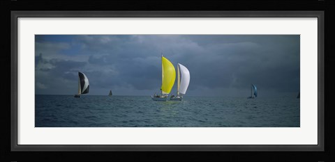 Framed Sailboat race Key West, Florida Print