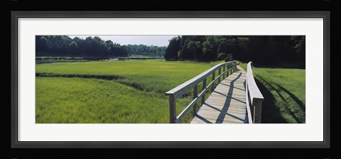 Framed Boardwalk in a field, Nauset Marsh, Cape Cod, Massachusetts, USA Print