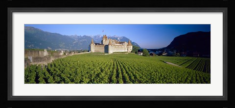 Framed Vineyard in front of a castle, Aigle Castle, Musee de la Vigne et du Vin, Aigle, Vaud, Switzerland Print