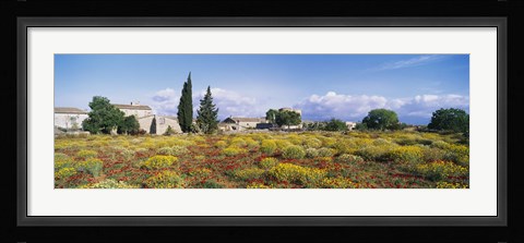 Framed Buildings in a field, Majorca, Spain Print