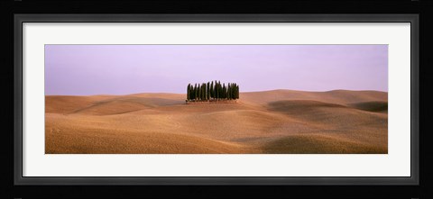 Framed Trees on a rolling landscape, Tuscany, Italy Print