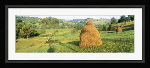 Framed Farm, Transylvania, Romania Print