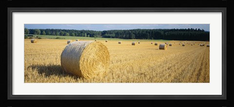 Framed Bales of Hay Southern Germany Print