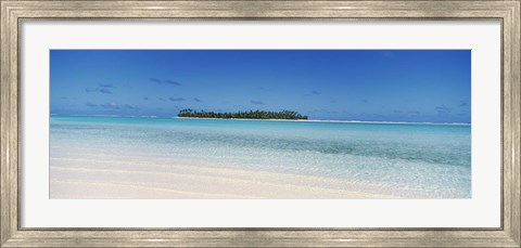 Framed Maina, Cook Islands Print