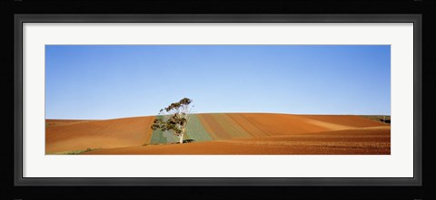 Framed Australia Print