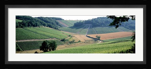 Framed France, Chablis, vineyards Print